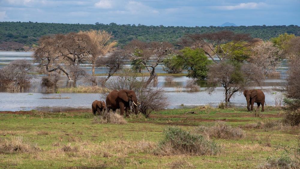 Tanzania - 7-day Best of Northern Tanzania - Group accommodated